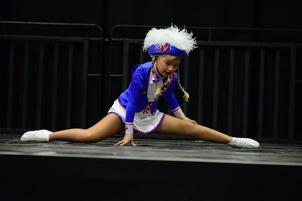 20151121Tanztunier der Karnevalisten __6.jpg - Sa. 21.11.2015,Hannover (Foto:Herbert Frost)